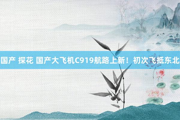国产 探花 国产大飞机C919航路上新！初次飞抵东北