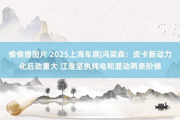 偷偷撸图片 2025上海车展|冯梁森：皮卡新动力化后劲重大 江淮坚执纯电和混动两条阶梯