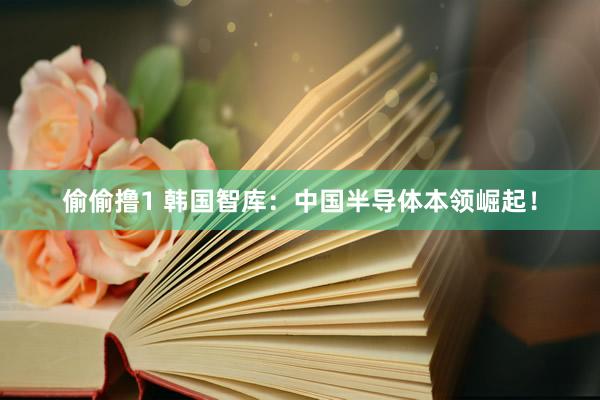 偷偷撸1 韩国智库：中国半导体本领崛起！