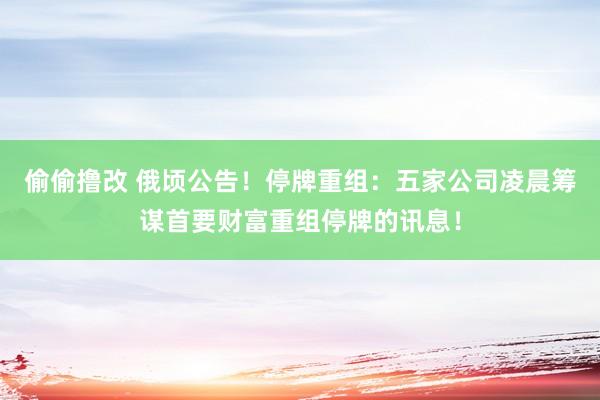偷偷撸改 俄顷公告！停牌重组：五家公司凌晨筹谋首要财富重组停牌的讯息！