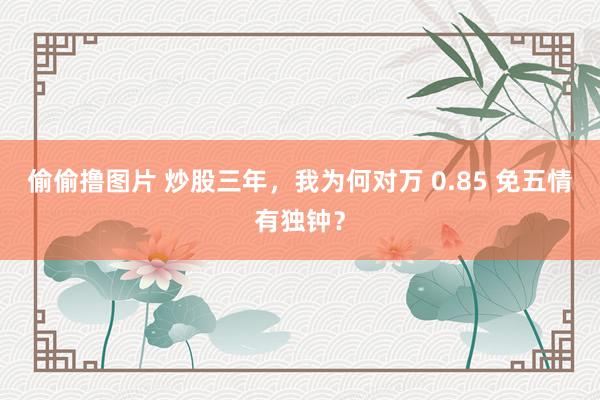 偷偷撸图片 炒股三年，我为何对万 0.85 免五情有独钟？