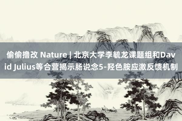 偷偷撸改 Nature | 北京大学李毓龙课题组和David Julius等合营揭示肠说念5-羟色胺应激反馈机制