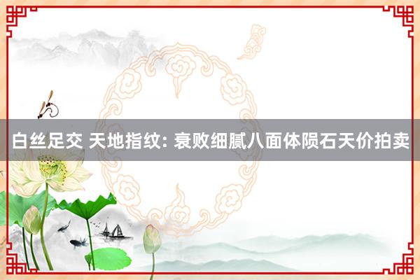 白丝足交 天地指纹: 衰败细腻八面体陨石天价拍卖
