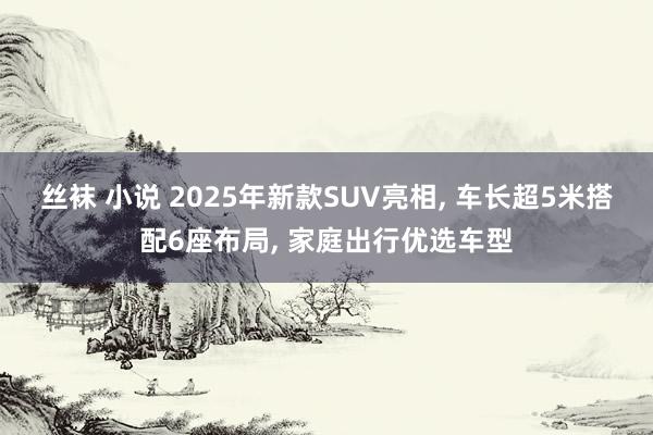 丝袜 小说 2025年新款SUV亮相， 车长超5米搭配6座布局， 家庭出行优选车型