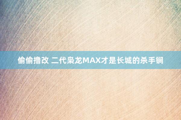 偷偷撸改 二代枭龙MAX才是长城的杀手锏