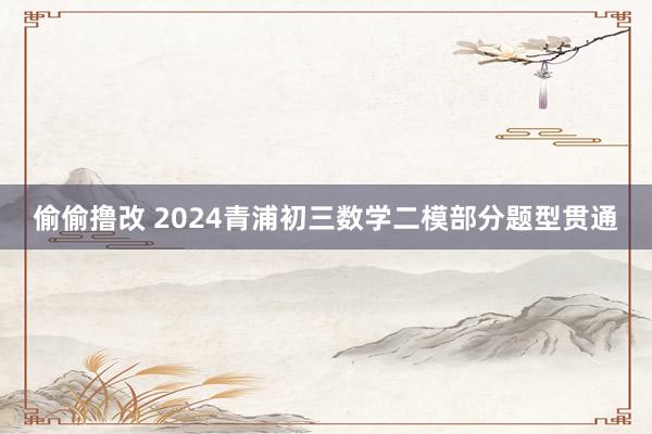 偷偷撸改 2024青浦初三数学二模部分题型贯通