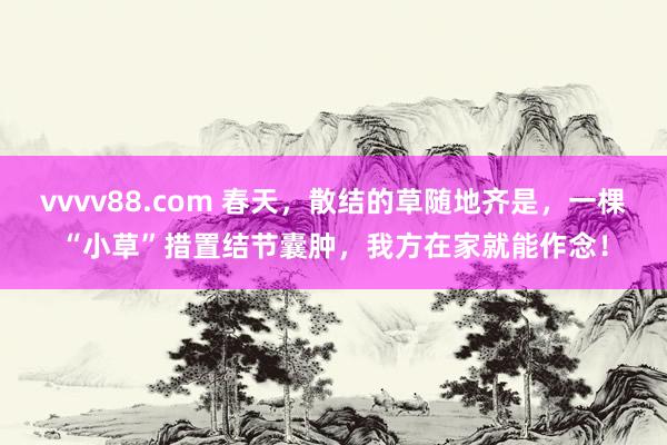 vvvv88.com 春天，散结的草随地齐是，一棵“小草”措置结节囊肿，我方在家就能作念！