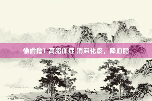 偷偷撸1 高脂血症 消滞化瘀，降血脂
