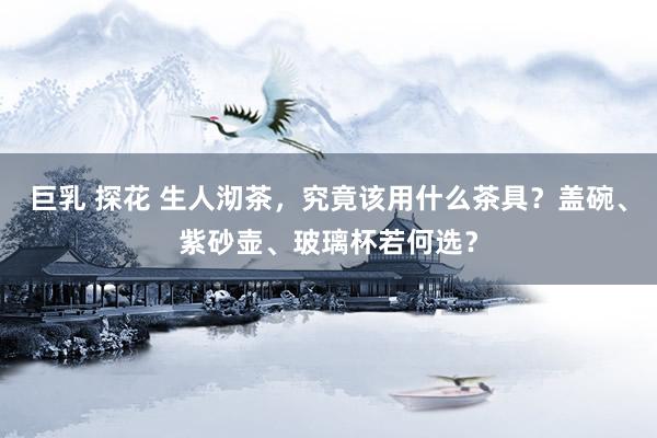 巨乳 探花 生人沏茶，究竟该用什么茶具？盖碗、紫砂壶、玻璃杯若何选？