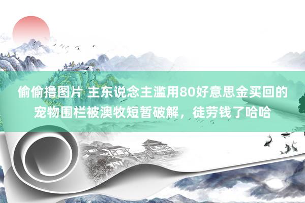 偷偷撸图片 主东说念主滥用80好意思金买回的宠物围栏被澳牧短暂破解，徒劳钱了哈哈