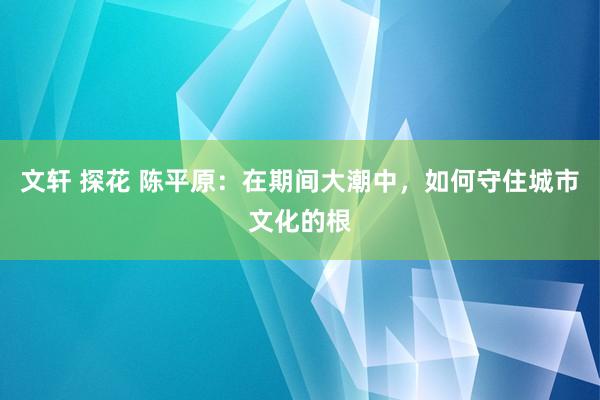 文轩 探花 陈平原：在期间大潮中，如何守住城市文化的根